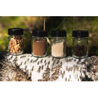 A Nokian piacra dobja a Nokian Tyres Betula koncepcióabroncsot, amely nyírfakéregből készült úttörő alapanyagot tartalmaz