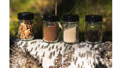 A Nokian piacra dobja a Nokian Tyres Betula koncepcióabroncsot, amely nyírfakéregből készült úttörő alapanyagot tartalmaz