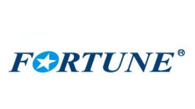 FORTUNE